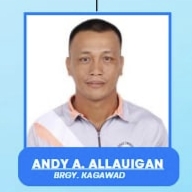 ANDY A. ALLAUIGAN